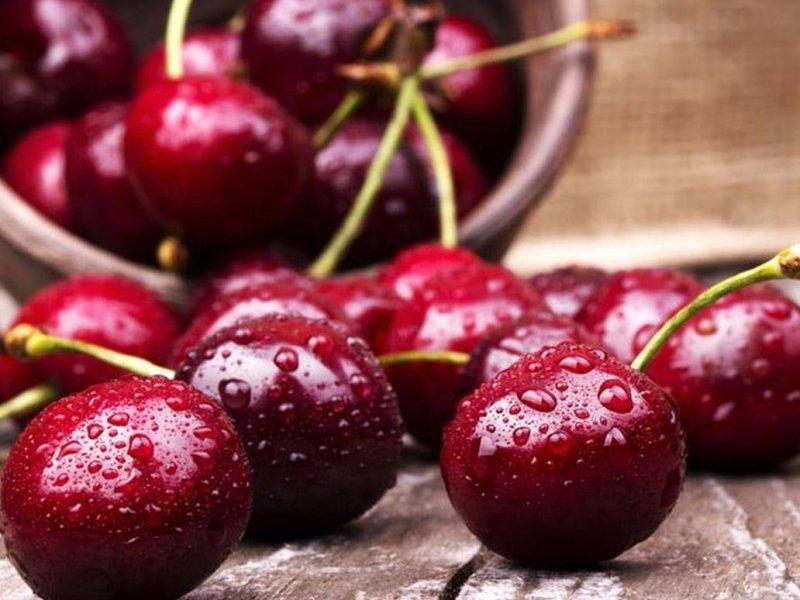 Вишня купить саженцы из питомника в Осинниках